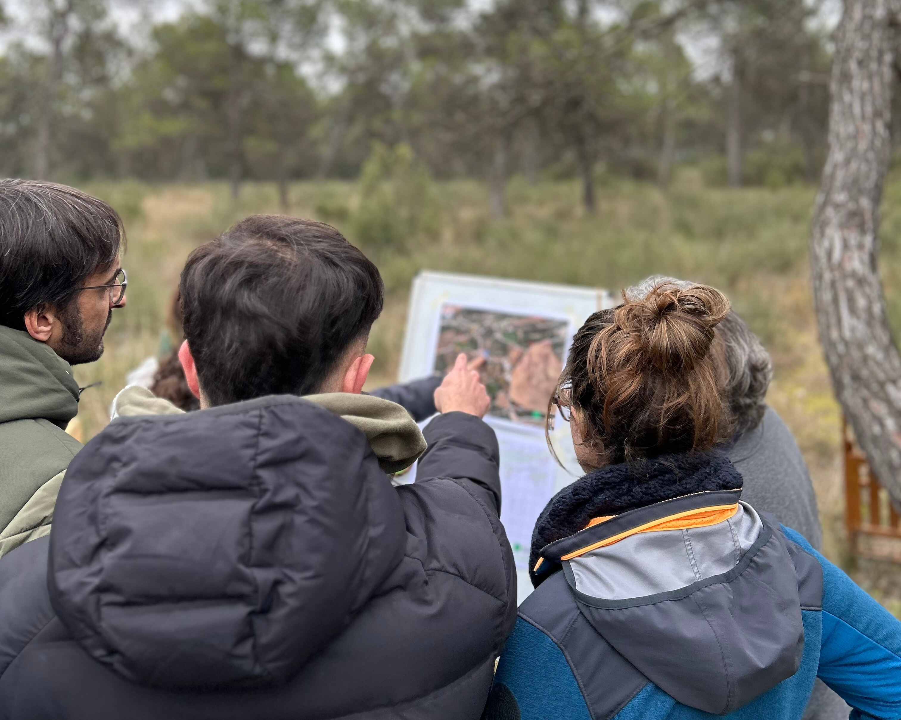 actividad exterior teambuilding