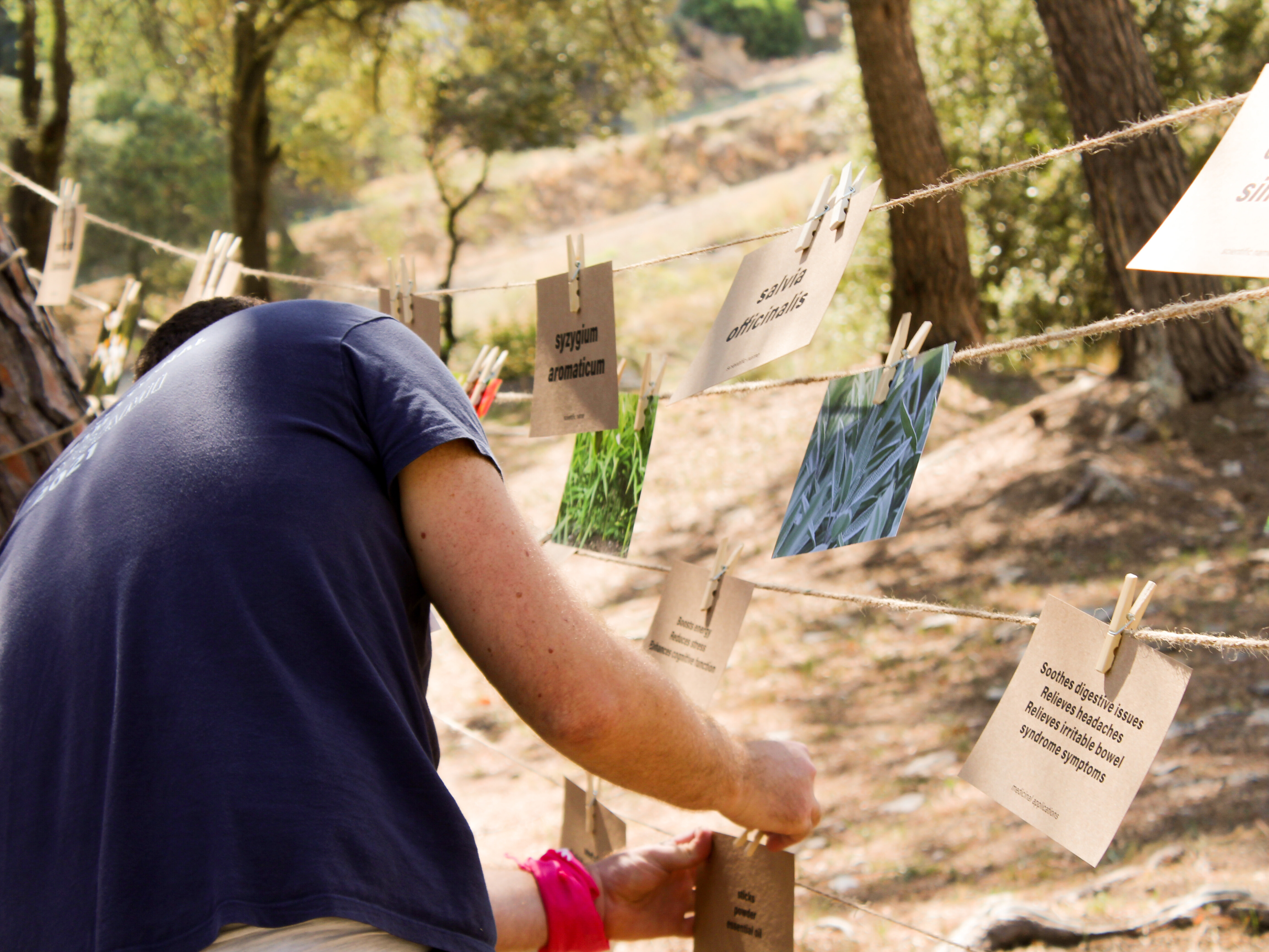 gamificar evento teambuilding