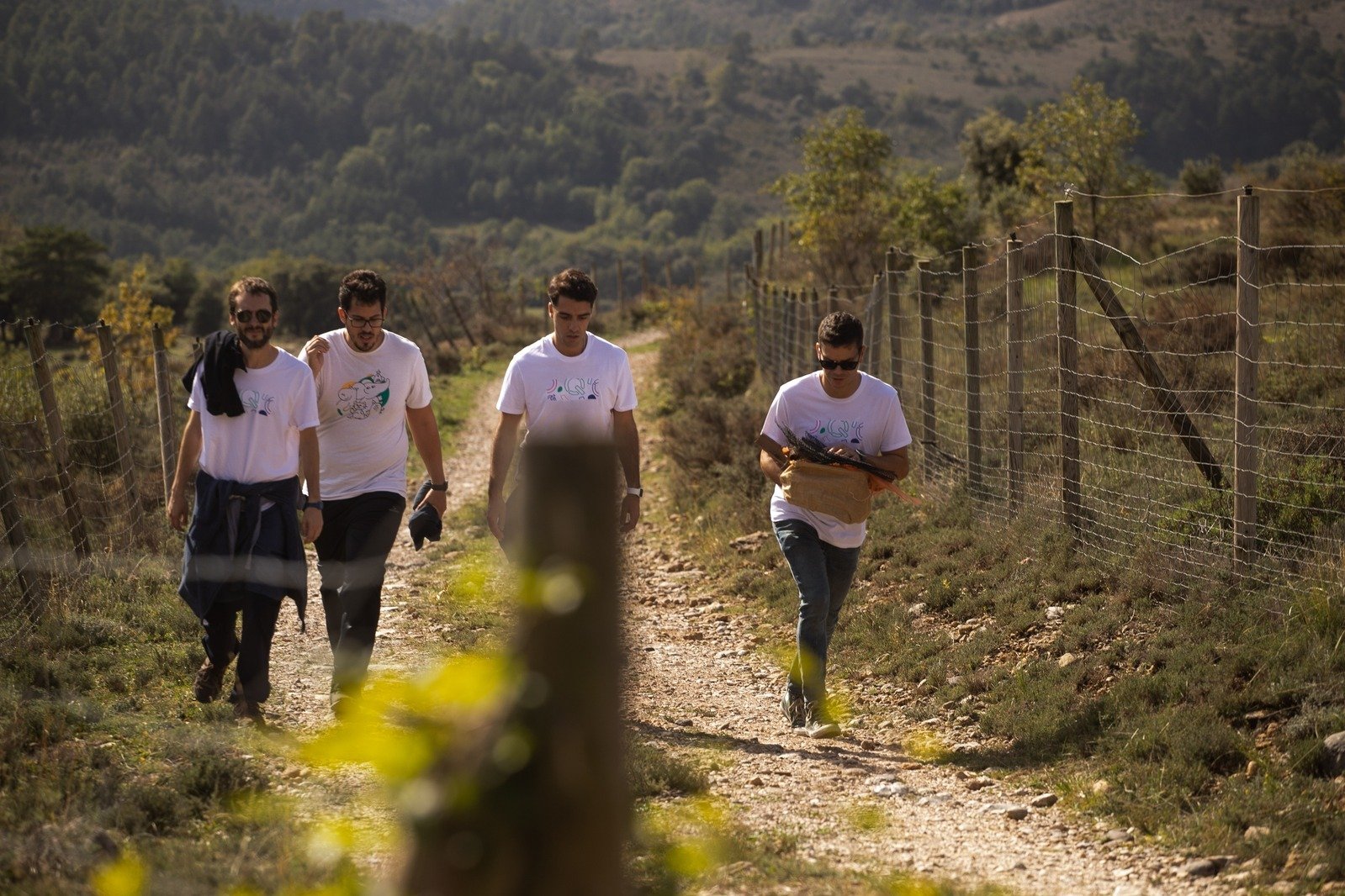 teambuilding empresas